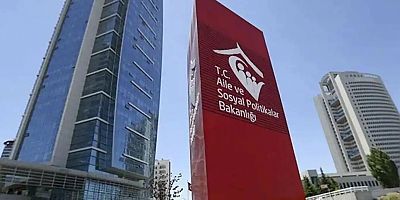 Aile ve Sosyal Hizmetler Bakanlığı: Darp Edilen Anne ve Çocuğu Devlet Korumasına Alındı