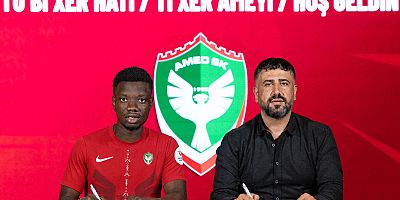 Amadou Cissé Amedspor'da