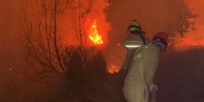 Antalya'da orman yangınları: Evler yandı, mahalleler tahliye edildi