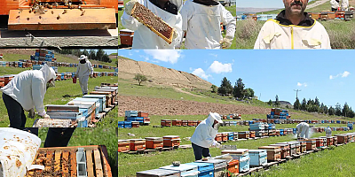 Arıcılar bahar mesaisine başladı: Bal sezonundan umutlular
