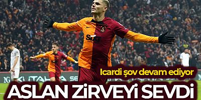 Aslan zirveyi sevdi