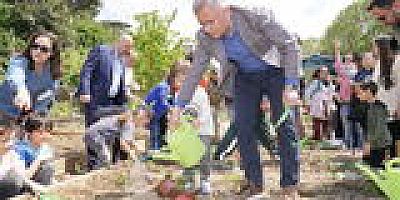 ATA TOHUMU YERLİ FİDELER ÜSKÜDAR’DA TOPRAKLA BULUŞTU