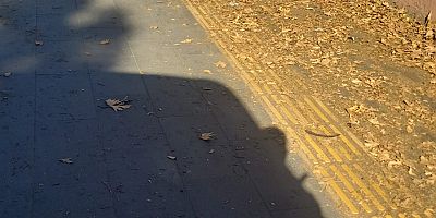 Bağlar'da “Kaldırım Pislikten Geçilmiyor!”