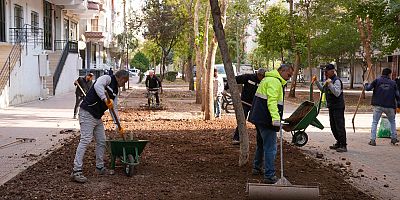 Bağlar'da Parklar Yenileniyor, Kırsalda Yollar Güvenli Hale Getiriliyor
