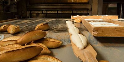 Bakan ÖzerTürkiye'de 81 ilde 100 noktadaki meslek lisemize ekmek fabrikası kuracağız.