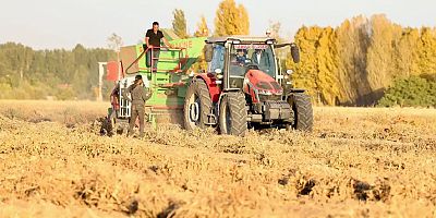 Bakan Yumaklı Bitlis’te kuru fasulye hasadına katıldı