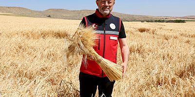 Bakan Yumaklı: TMO üreticilere 120 milyar lira ödeme yaptı