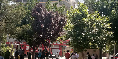 Batman'da 5 katlı binada çıkan yangın paniğe neden oldu    