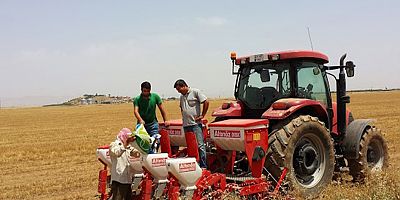 Bazı gübrelerde gümrük vergisi sıfırlandı