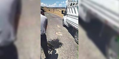 Belediye yapmayınca mahalleli asfaltı parayla alıp yolu onardı
