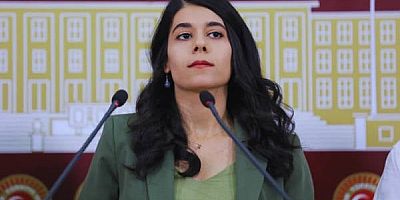 Beritan Güneş: Batman’daki bakım merkezindeki istismar iddiaları tüm yönleriyle açığa çıkarılmalı