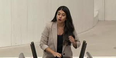 DEM Parti Mardin Milletvekili Beritan Güneş Altın