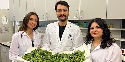 BİLGİ’li öğrenciler antibiyotik direncine karşı yenilikçi ve doğal bir yöntem geliştirdi