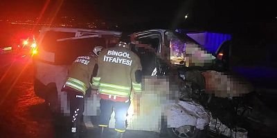 Bingöl'de hafif ticari araç yola çıkan ata çarptı: 1 ölü, 2 yaralı