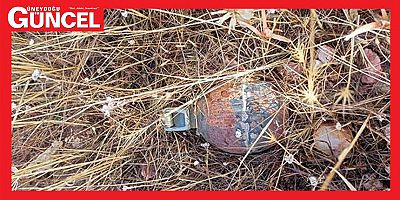 Bingöl'de mayın ve el bombası ele geçirildi 
