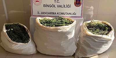 Bingöl'de uyuşturucu operasyonu: 4 gözaltı
