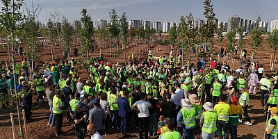 Binlerce Ağaç ile Yeşil Amed: 20 Bin Fidan Toprakla Buluşacak