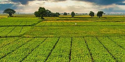 Bir milyar 46 milyon liralık tarımsal destek ödemeleri çiftçinin hesabına yatırılacak