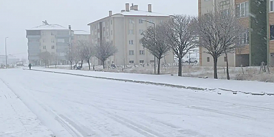 Bitlis’te 35 köy yolu ulaşıma kapandı