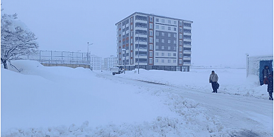 Bitlis’te hayat durdu, 304 köy yolu ulaşıma kapandı