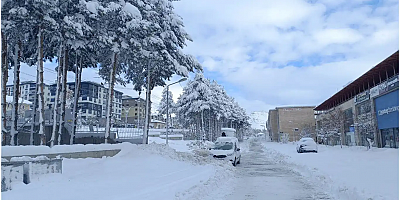 Bitlis’te hayat durdu, kırsal alanlarla iletişim kesildi
