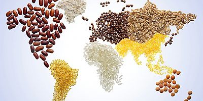 BM: Artan maliyetler nedeniyle gıda güvenliği risk altında