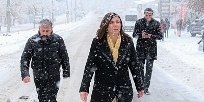 Büyükşehir Eşbaşkanı Serra Bucak’tan Valiye ;“Keşke Tatili Önceden Açıklasaydı”