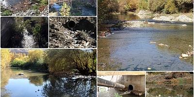 Çermikliler: Yıllarca ilçenin su kaynağı olan sinek çayı şimdi çevreye hastalık yayıyor