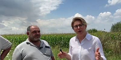 CHP Milletvekili Asu Kaya, çiftçileri ziyaret etti ve sorunlarını yerinde dinledi.