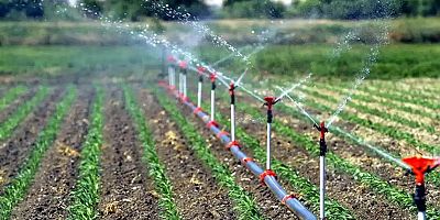 Çiftçilere 6 milyar liralık destek ödemesi bugün yapılacak