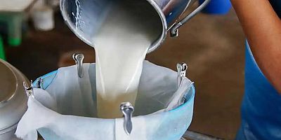 Çiğ süt tavsiye fiyatı belirlendi