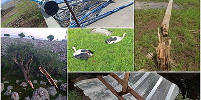 Çınar'da oluşan hortum maddi zarara yol açtı