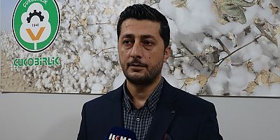 Çitçiler emeğinin karşılığını istiyor: Destek artarsa pamuk alanları büyüyecek