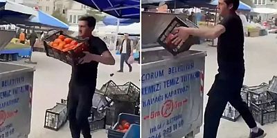 Çorum'da domatesleri çöpe döken pazarcının tezgâh yeri iptal edildi