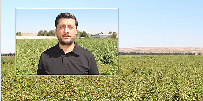 Çukobirlik Şube Başkanı Kağba: Mısıra alternatif olarak beyaz altın pamuğu yaygınlaştırmalıyız