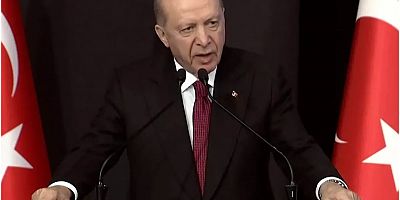 Cumhurbaşkanı Erdoğan’dan Meclis’teki yumruklu kavgaya ilişkin sert sözler