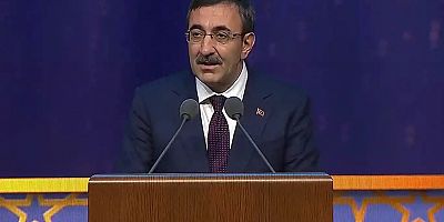 Cumhurbaşkanı Yardımcısı Yılmaz: Türkiye İslam düşmanlığıyla mücadeleye devam edecek