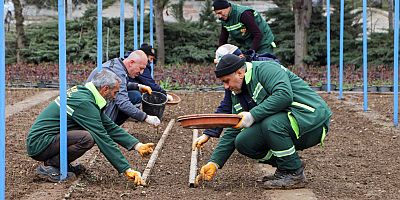 DBB KENDİ GÜLÜNÜ ÜRETİYOR