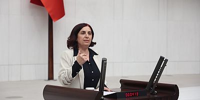 DEM’li Çelenk “Demokratik talep ileten üniversiteliler tutuklu. Kaç öğrenci içeride?”