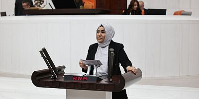DEM Parti’li Varlı’dan Boğulma Vakalarına Karşı Acil Önlem Çağrısı