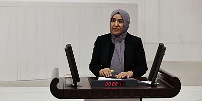 DEM Parti Van Milletvekili Gülderen Varli: “Asıl ihtiyaç eşitliktir”