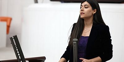 DEM Partili Altın’dan 3 Bakanlığa Mazıdağı Çağrısı: “Ekolojik yıkım büyüyor”