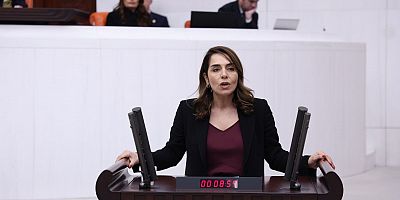 DEM Partili Kaya’dan menopoz tedavisine erişim için soru önergesi