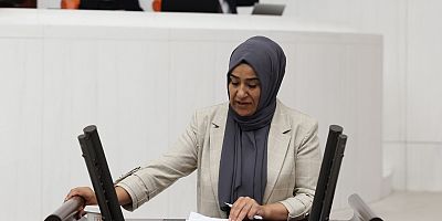 DEM Partili Varlı’dan Meclis Araştırma Komisyonu Çağrısı