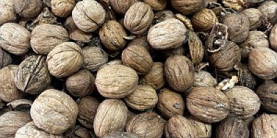 Denetimlerde son kullanma tarihi geçen 600 kg ürüne el konuldu