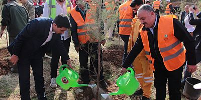 DEPSAŞ Enerji’den Makam Dağı’na 3 Bin Fidanlık Yeşil Dokunuş