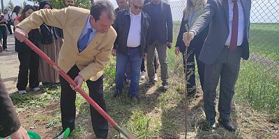 Dicle'de Fidan Dikimi 