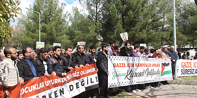 Dicle Üniversitesi öğrencilerinden 