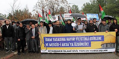 Dicle Üniversitesi öğrencilerinden işgal rejiminin idam kararına tepki