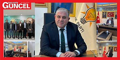 Diyarbakır AK Parti'de  Peş Peşe İstifalar